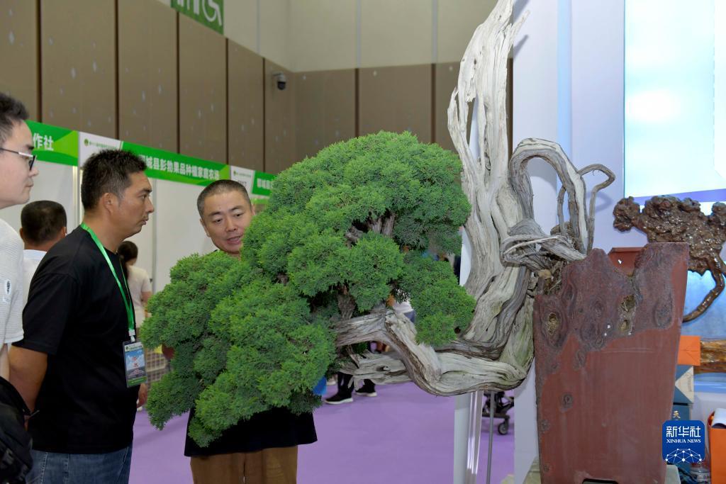 凭手机尾号申请彩金888