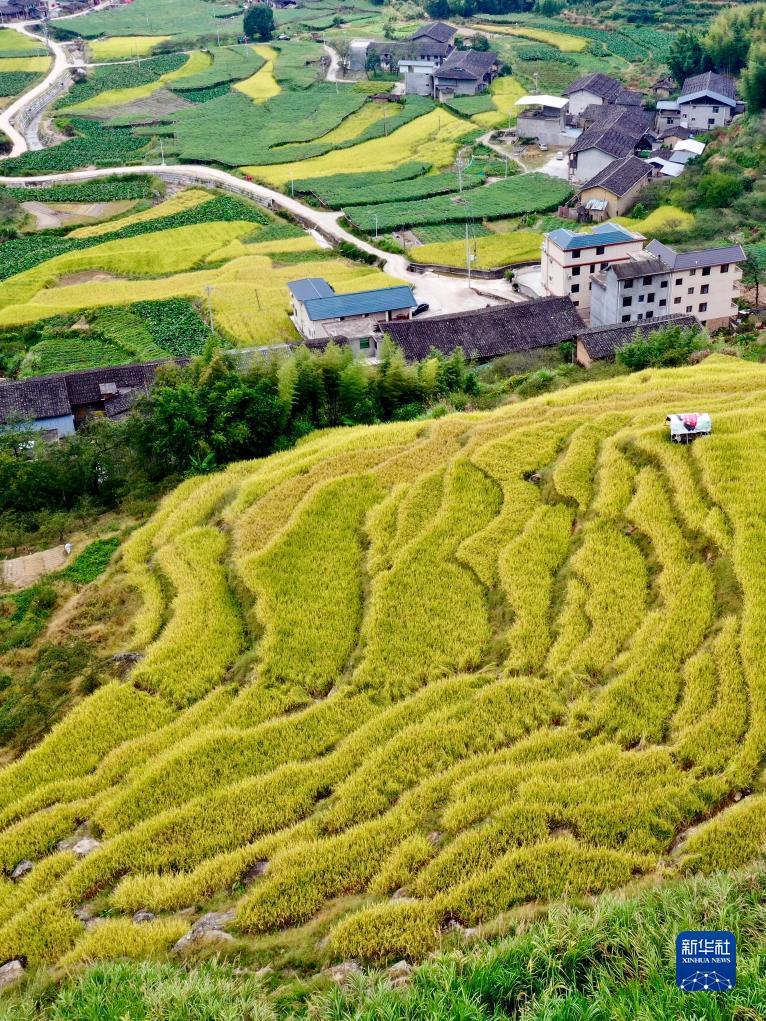 银河百家乐